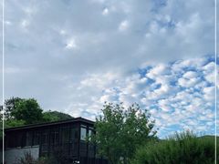 -山水一号·中餐厅