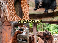 -长鹿旅游休博园