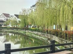 -金山嘴渔村
