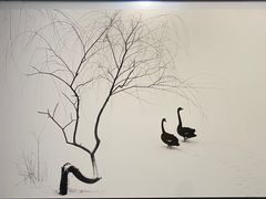 -罗红摄影艺术馆