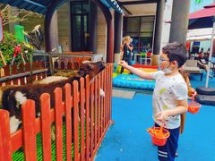 -上海崇明金茂凯悦酒店