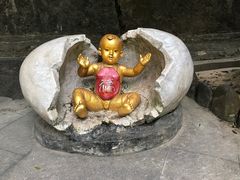 -西双版纳原始森林公园
