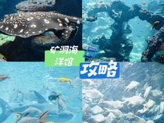 -长鹿旅游休博园