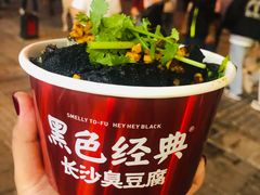 -黑色经典臭豆腐·长沙鲜食商店(坡子街店)