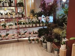 -二酉书店TOYOU BOOKS