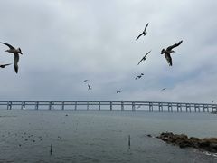 -黑石礁公园