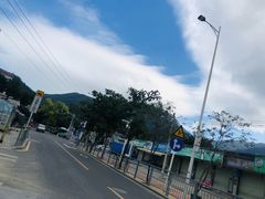 -杨梅坑