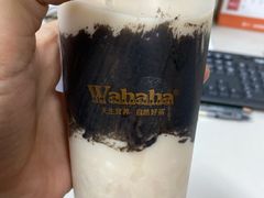 -娃哈哈·奶茶(武林店)