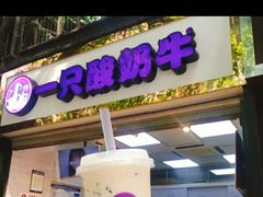 门面-一只酸奶牛(八一路店)