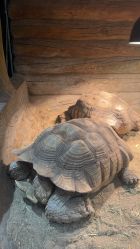 -Zoolung Zoolung动物主题公园(海信广场店)