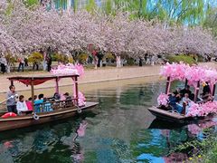 -元大都城垣遗址公园