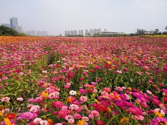 -映月湖中央公园