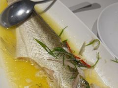 -羲和雅苑•北京烤鸭(国贸商城店)