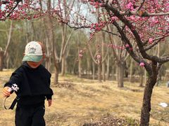 -廊坊市自然公园