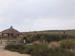 -水洞沟旅游区