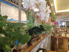 大堂-九五火锅(草场街店)