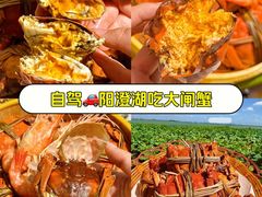 -七的湖·晚芳亭·阳澄湖农家菜·大闸蟹(莲花岛店)