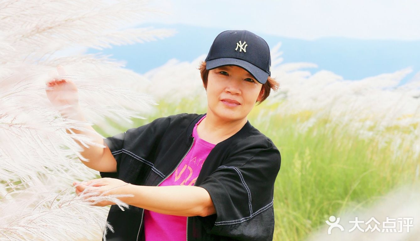 风吹芦苇荡，思念我阿娘