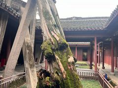 -太平天国侍王府