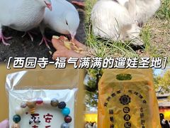 -西园戒幢律寺