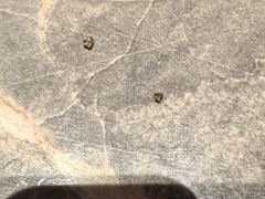 -漫·汤泉