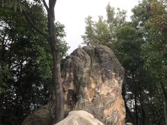 -南山植物园