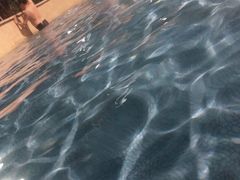 -龙达温泉生态城
