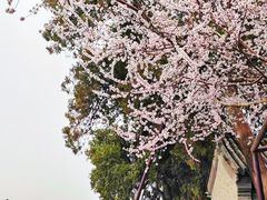-颐和园