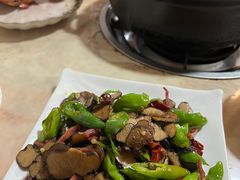 -蘑统田下·野生菌火锅