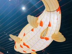-肥福排档(星光店)