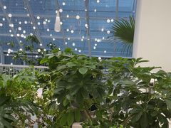 -大树餐厅(红旗街万达店)