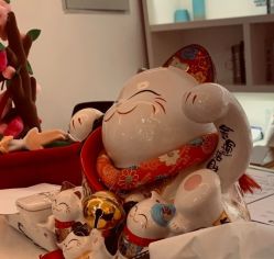 -素美医疗美容·西南眼鼻整形·修复基地
