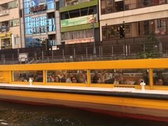-道顿堀水上观光船(太左衛門橋船着場)