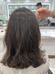 -镁连社·美联社
