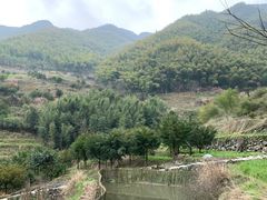 -峡谷农家乐饭店