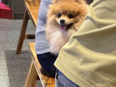 -黔二妞地摊火锅(龙华清湖店)