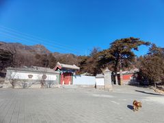 -阳台山自然风景区