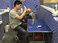 -瑞鹏宠物医院·内科·中兽医·骨科(苗圃店)