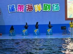 -蓬莱欧乐堡海洋极地世界