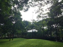 -晓港公园