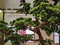-聆桂烤鸭·金奖烤鸭(静联广场店)