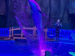 -华夏文旅海洋公园