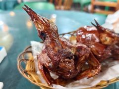 -石岐乳鸽村(桥观坊南四巷店)
