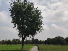 -汉长安城未央宫国家考古遗址公园