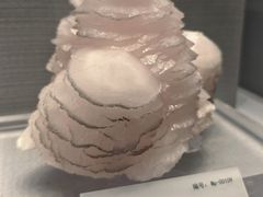 -湖南省地质博物馆