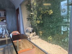 -了不起的考拉咖啡店(高新店)