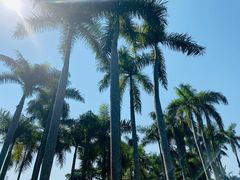 -中国科学院西双版纳热带植物园