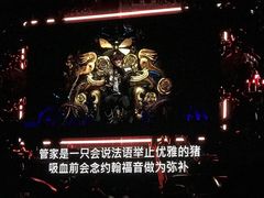 -南京奥林匹克体育中心-体育馆