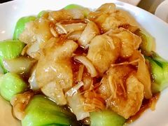碧绿瑶柱竹荪扒鱼唇-申粤轩酒楼·三十年粤菜经典(丁香花园店)