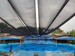 -东莞香市动物园